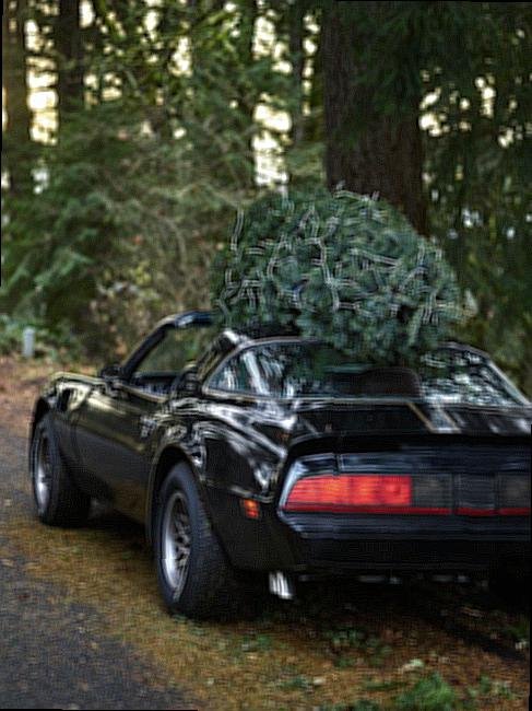 Are All-Season Tires Necessary?