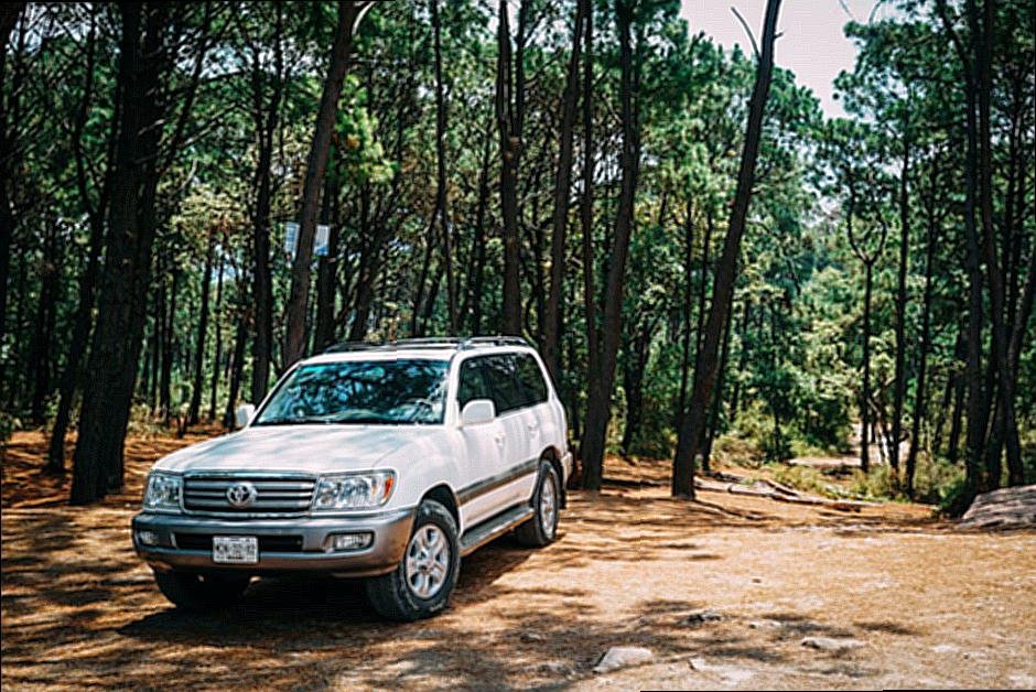 What Tire Speed Rating Do I Need?