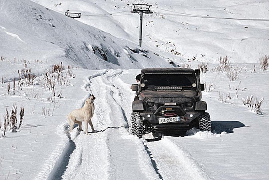 What are the benefits of using Alloy Wheels?