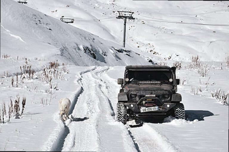 Koji-su-kljucni-koraci-za-odrzavanje-automobila-c998e9e62638